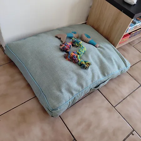 Chez Juline Charmante Maison De Plain Pied A La Campagne Et Au Calme *