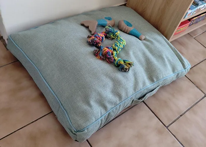 Chez Juline Charmante Maison De Plain Pied A La Campagne Et Au Calme *